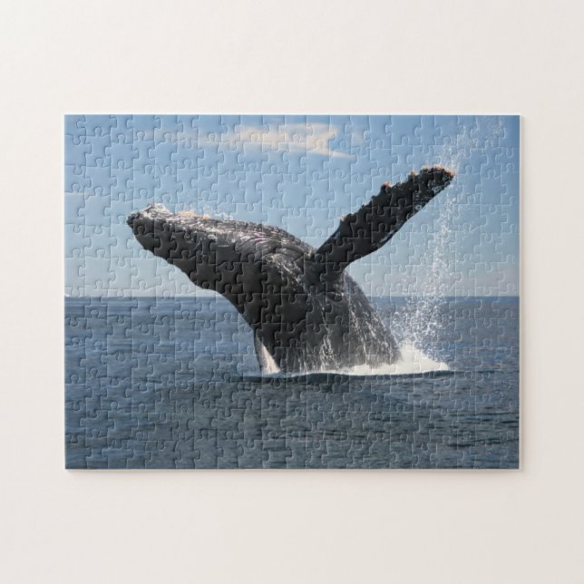 Adult Humpback Whale Breaching Jigsaw Puzzle (Horizontal)