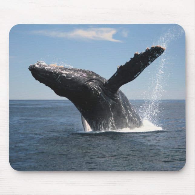 Adult Humpback Whale Breaching Mouse Mat (Front)