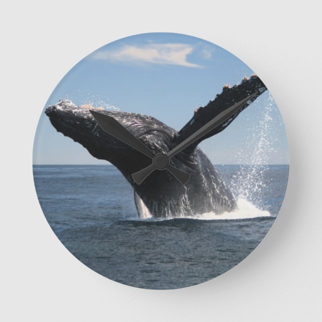Adult Humpback Whale Breaching Round Clock (Front)