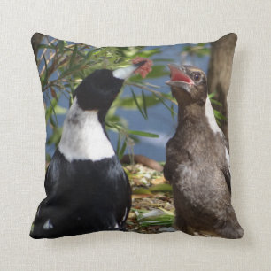 Adult Magpie with Juvenile Cushion