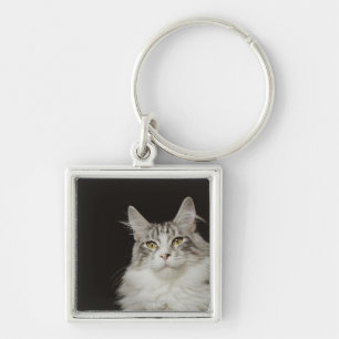 Adult Maine Coon Cat Key Ring