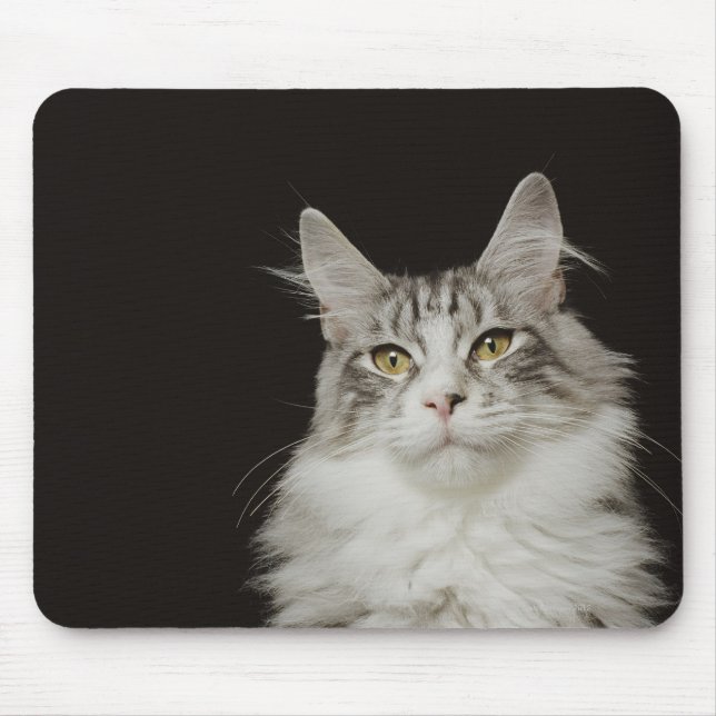 Adult Maine Coon Cat Mouse Mat (Front)