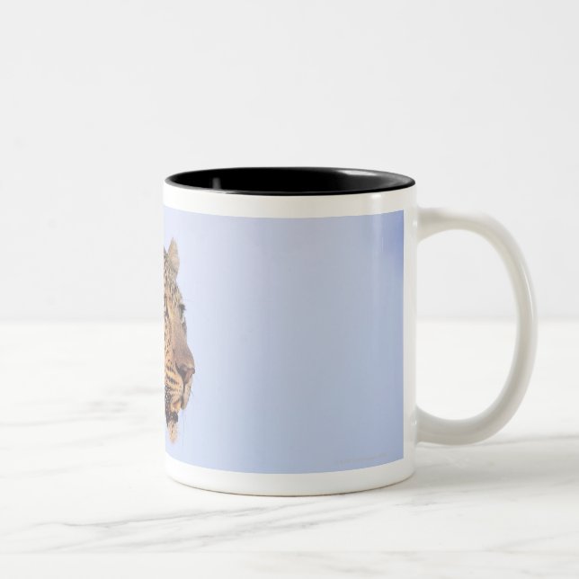 Adult male leopard (Panthera pardus), resting on Two-Tone Coffee Mug (Right)