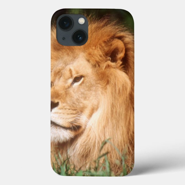 Adult male Lion Case-Mate iPhone Case (Back)