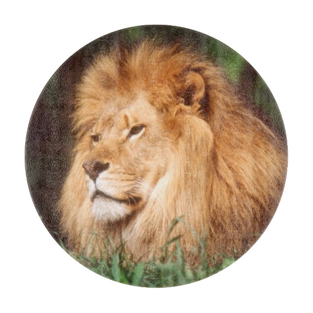 Adult male Lion Cutting Board (Front)