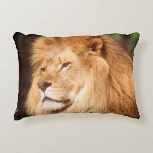 Adult male Lion Decorative Cushion