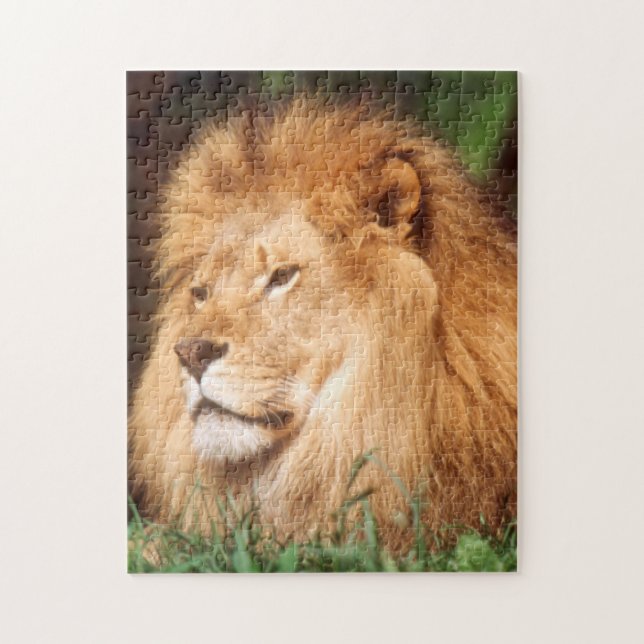 Adult male Lion Jigsaw Puzzle (Vertical)