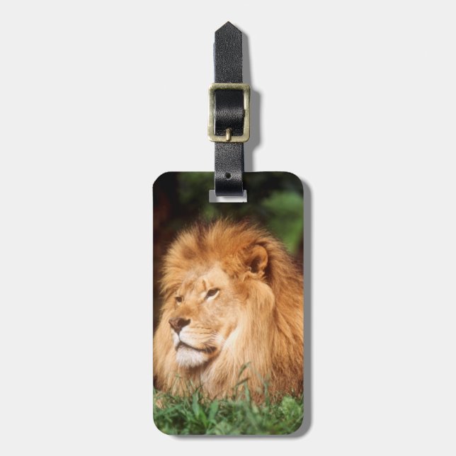 Adult male Lion Luggage Tag (Front Vertical)