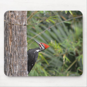 Adult Male Pileated Woodpecker Bird Profile Photo Mouse Mat