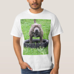 Adult Male Staffordshire Bull Terrier, T-Shirt