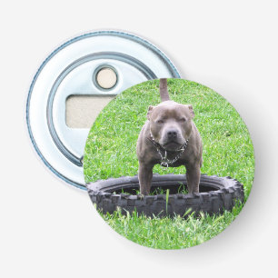 Adult Male Staffordshire Terrier Ready To Play, Bottle Opener