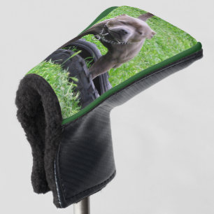 Adult Male Staffordshire Terrier Ready To Play, Golf Head Cover