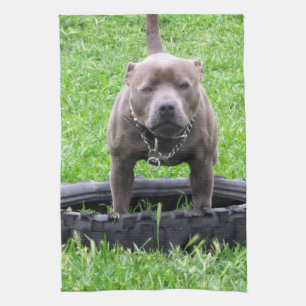Adult Male Staffordshire Terrier Ready To Play, Tea Towel