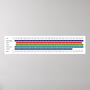 Adult Men's Shoe Size Comparison Chart