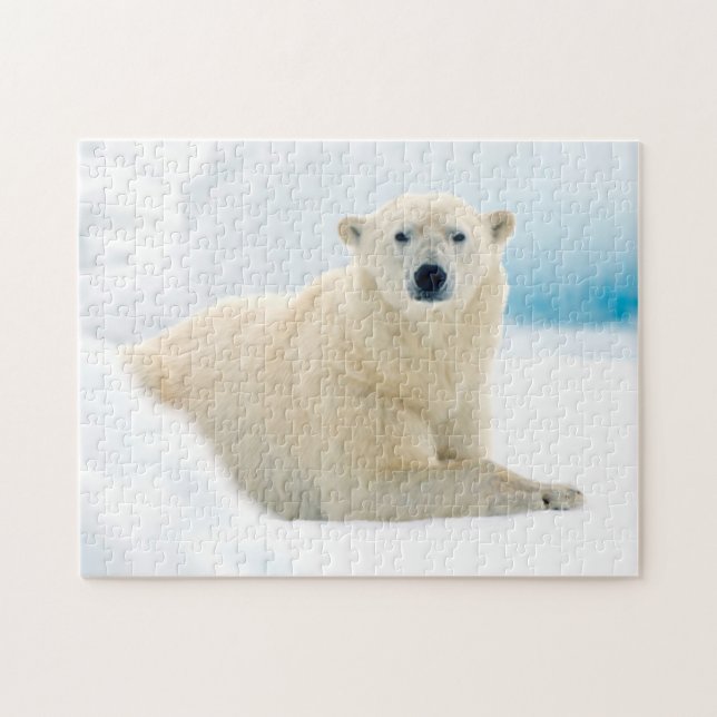 Adult polar bear large boar on the summer ice jigsaw puzzle (Horizontal)