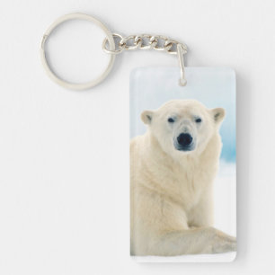 Adult polar bear large boar on the summer ice key ring
