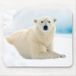 Adult polar bear large boar on the summer ice mouse mat