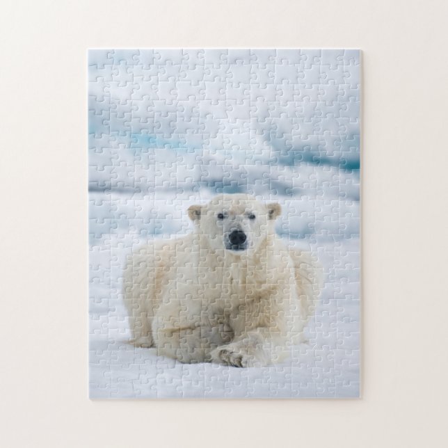 Adult polar bear on the summer pack ice jigsaw puzzle (Vertical)
