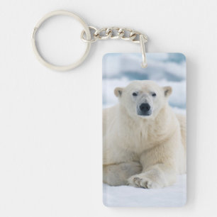 Adult polar bear on the summer pack ice key ring