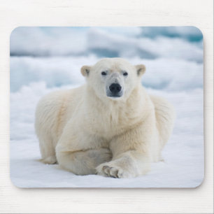 Adult polar bear on the summer pack ice mouse mat