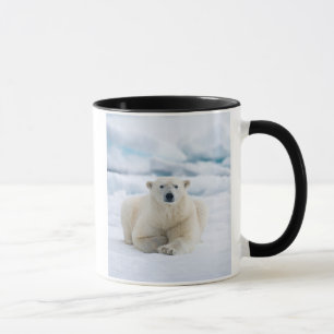 Adult polar bear on the summer pack ice mug