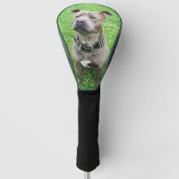 Adult Staffordshire Bull Terrier Golf Driver Cover