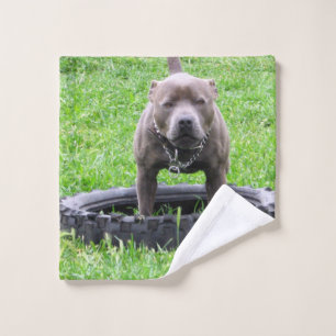 Adult Staffy Bull Terrier Time To Play, Wash Cloth
