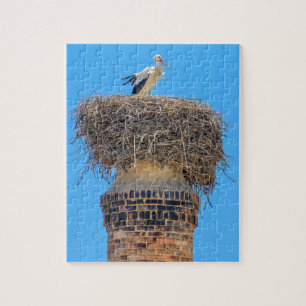 Adult stork in nest on chimney.JPG Jigsaw Puzzle