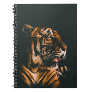 ADULT TIGER PRONE LYING INSIDE DIM LIGHTED ROOM NOTEBOOK