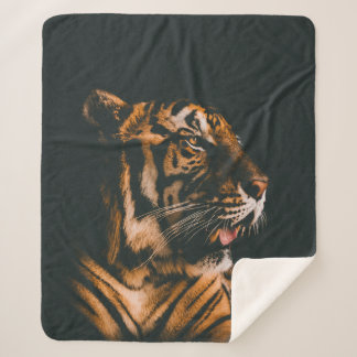 ADULT TIGER PRONE LYING INSIDE DIM LIGHTED ROOM SHERPA BLANKET
