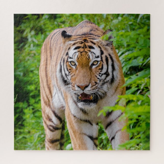 Adult Tiger Prowling Among Bright Green Leaves Jigsaw Puzzle (Vertical)
