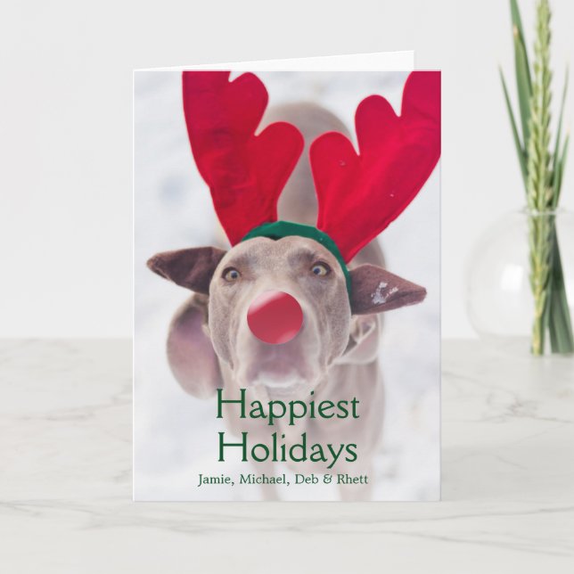 Adult Weimaraner dog wearing red antler headband Holiday Card (Front)