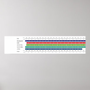 Adult Women's Shoe Size Comparison Chart