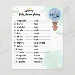 adventure awaits Bear fun baby answers animal game