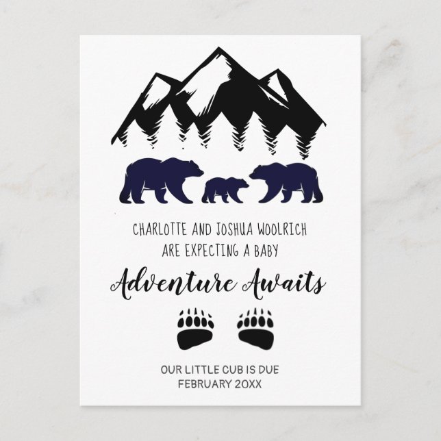 Adventure Awaits Bears Pregnancy  Announcement Pos (Front)