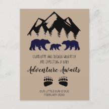 Adventure Awaits Bears Pregnancy
