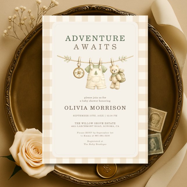 Adventure Awaits Clothesline Gingham Baby Shower Invitation (Creator Uploaded)