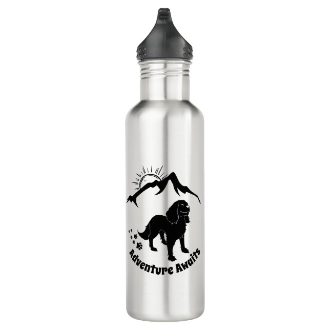 Adventure Awaits Hiking Cavalier Stainless Steel  710 Ml Water Bottle (Right)