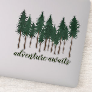 Adventure Awaits Tall Pine Trees Forest