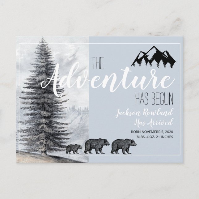 Adventure Begins Woodland Bears Birth Announcement Postcard (Front)