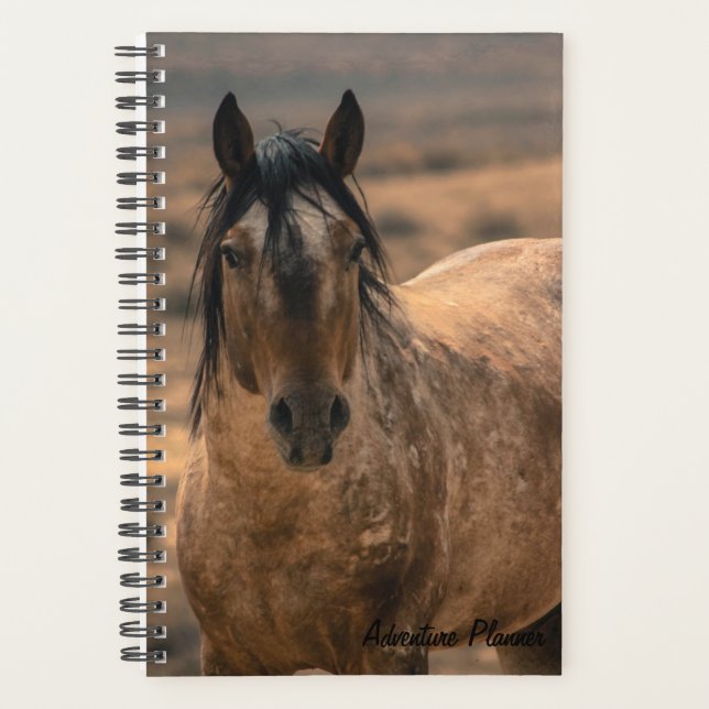 Adventure Planner w/ Sir Behr (Front)