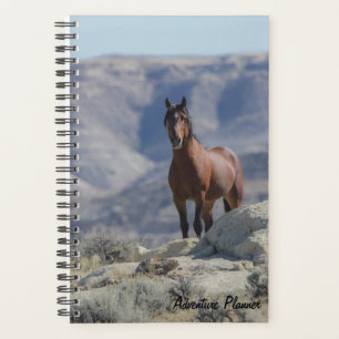 Adventure Planner w/ wild stallion