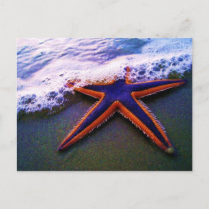 ADVENTURE POSTCARD