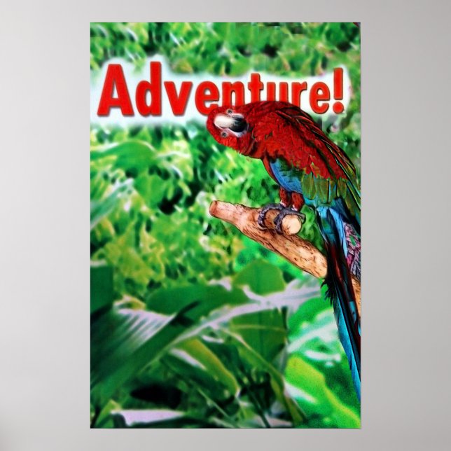 Adventure Poster (Front)