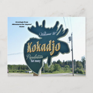 Adventures for Anyone Kokadjo, Maine Postcard