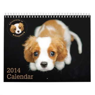 Adventures of Kingsley 2014 Calendar