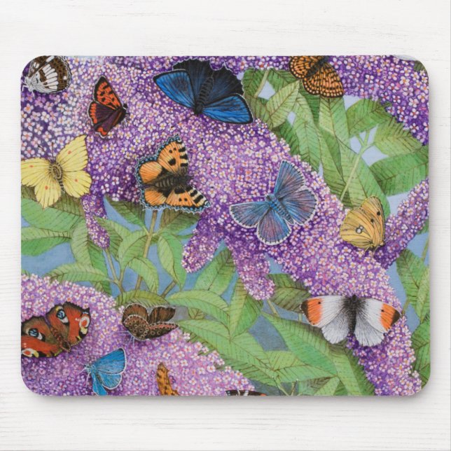 Adventuring 2011 mouse mat (Front)