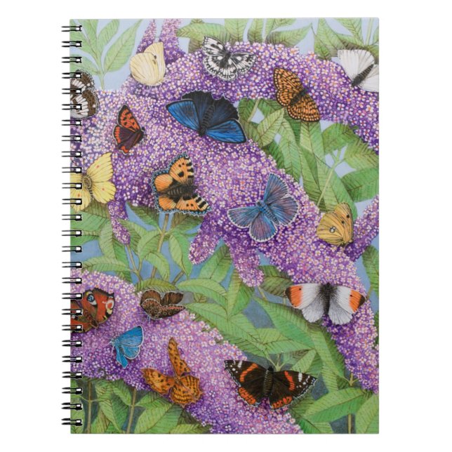 Adventuring 2011 notebook (Front)