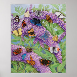 Adventuring 2011 poster