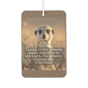 Adventurous Meerkat Living Car Air Freshener